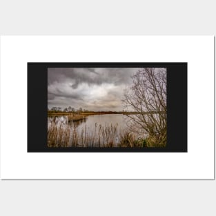 A view across Rockland Broad, Norfolk Posters and Art